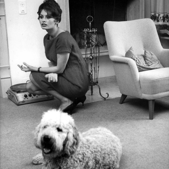 Style Muses…Sartorial Inspiration…Timelessness - Picture 12 of 16